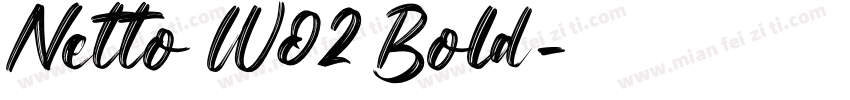Netto W02 Bold字体转换